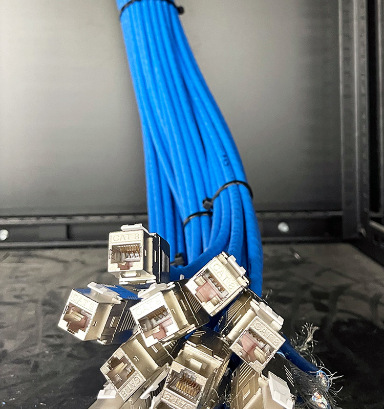 A bunch of blue color alternet Cables on a rack